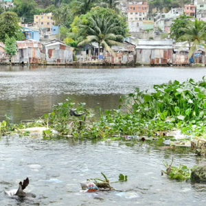 descarga (5) Ríos Contaminados