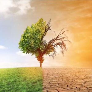 salud Salud Pública y Medio Ambiente: Las Razones Urgentes para una Nueva Ley de Residuos